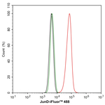 JunD Antibody in Flow Cytometry (Flow)
