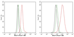 Epstein Barr Virus BOLF1 Antibody in Flow Cytometry (Flow)
