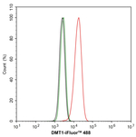 SLC11A2 Antibody in Flow Cytometry (Flow)