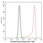 Creatine Kinase BB Antibody in Flow Cytometry (Flow)