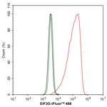 eIF3g Antibody in Flow Cytometry (Flow)