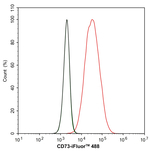 CD73 Antibody in Flow Cytometry (Flow)