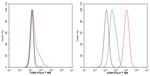 CD80 Antibody in Flow Cytometry (Flow)