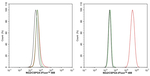 NG2 Antibody in Flow Cytometry (Flow)