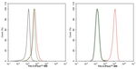 TIM-3 Antibody in Flow Cytometry (Flow)