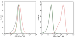 CD81 Antibody in Flow Cytometry (Flow)