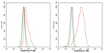 CD48 Antibody in Flow Cytometry (Flow)