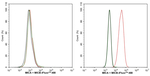 MICA/MICB Antibody in Flow Cytometry (Flow)