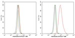 IL-8 (CXCL8) Antibody in Flow Cytometry (Flow)
