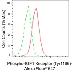 Phospho-IGF1R (Tyr1166) Antibody in Flow Cytometry (Flow)