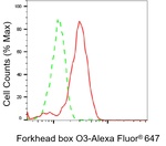 FOXO3A Antibody in Flow Cytometry (Flow)
