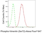 Phospho-Vimentin (Ser72) Antibody in Flow Cytometry (Flow)