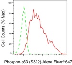 Phospho-p53 (Ser392) Antibody in Flow Cytometry (Flow)