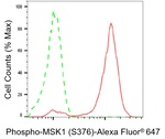 Phospho-MSK1 (Ser376) Antibody in Flow Cytometry (Flow)
