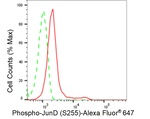 Phospho-JunD (Ser255) Antibody in Flow Cytometry (Flow)