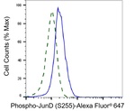 Phospho-JunD (Ser255) Antibody in Flow Cytometry (Flow)