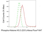 Phospho-Histone H3.3 (Ser31) Antibody in Flow Cytometry (Flow)
