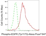Phospho-EGFR (Tyr1173) Antibody in Flow Cytometry (Flow)
