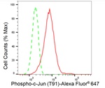 Phospho-c-Jun (Thr91) Antibody in Flow Cytometry (Flow)