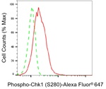 Phospho-Chk1 (Ser280) Antibody in Flow Cytometry (Flow)