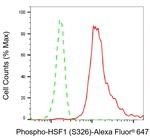 Phospho-HSF1 (Ser326) Antibody in Flow Cytometry (Flow)