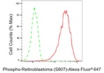 Phospho-Rb (Ser807) Antibody in Flow Cytometry (Flow)