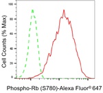 Phospho-Rb (Ser780) Antibody in Flow Cytometry (Flow)