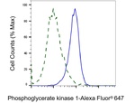 PGK1 Antibody in Flow Cytometry (Flow)