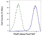 YTHDF1 Antibody in Flow Cytometry (Flow)