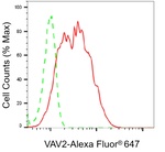 VAV2 Antibody in Flow Cytometry (Flow)