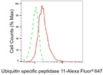 USP11 Antibody in Flow Cytometry (Flow)
