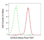 UCH37 Antibody in Flow Cytometry (Flow)