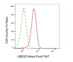 UBE2Z Antibody in Flow Cytometry (Flow)