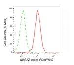 UBE2Z Antibody in Flow Cytometry (Flow)