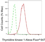 TK1 Antibody in Flow Cytometry (Flow)