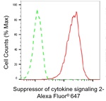 SOCS2 Antibody in Flow Cytometry (Flow)