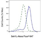 SEH1L Antibody in Flow Cytometry (Flow)