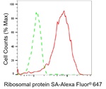 RPSA Antibody in Flow Cytometry (Flow)