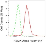 RBMX Antibody in Flow Cytometry (Flow)