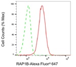 RAP1B Antibody in Flow Cytometry (Flow)