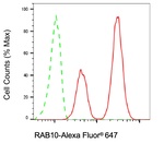 RAB10 Antibody in Flow Cytometry (Flow)
