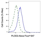 PLOD2 Antibody in Flow Cytometry (Flow)