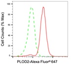 PLOD2 Antibody in Flow Cytometry (Flow)