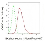 Nkx2.1 Antibody in Flow Cytometry (Flow)