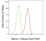 Menin Antibody in Flow Cytometry (Flow)