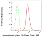 KDM2A Antibody in Flow Cytometry (Flow)