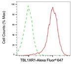 TBLR1 Antibody in Flow Cytometry (Flow)