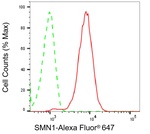 SMN1 Antibody in Flow Cytometry (Flow)