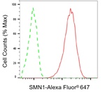 SMN1 Antibody in Flow Cytometry (Flow)