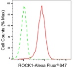 ROCK1 Antibody in Flow Cytometry (Flow)